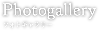 Photogallery フォトギャラリー